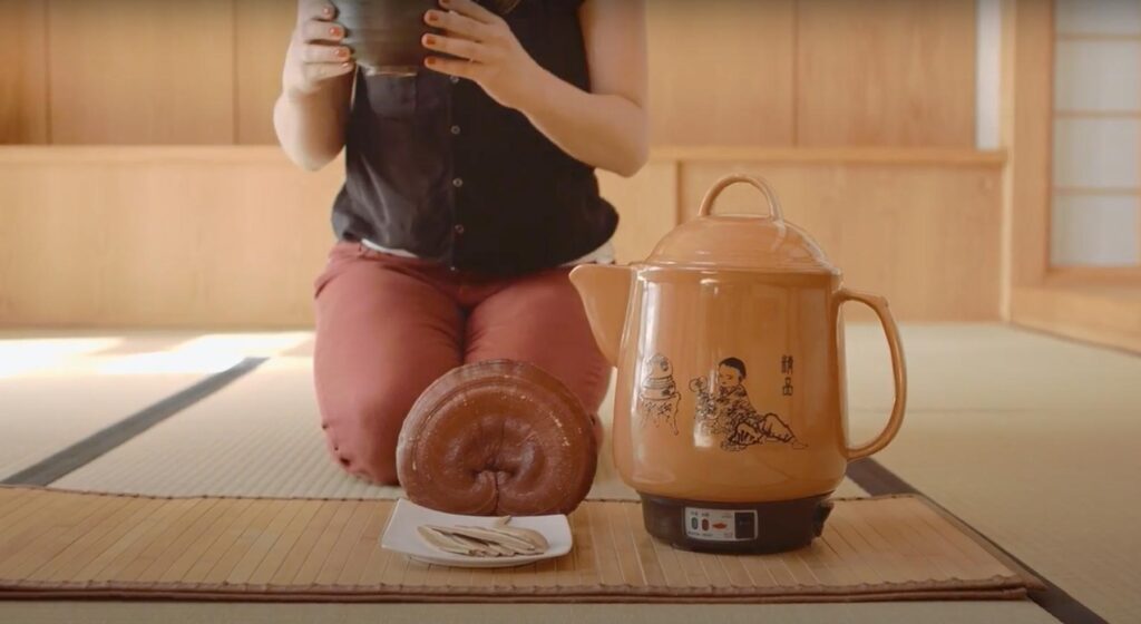 Reishi 101 – How is Red Reishi Grown?