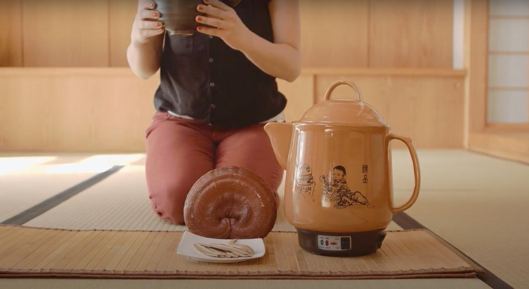 Reishi 101 – How is Red Reishi Grown?